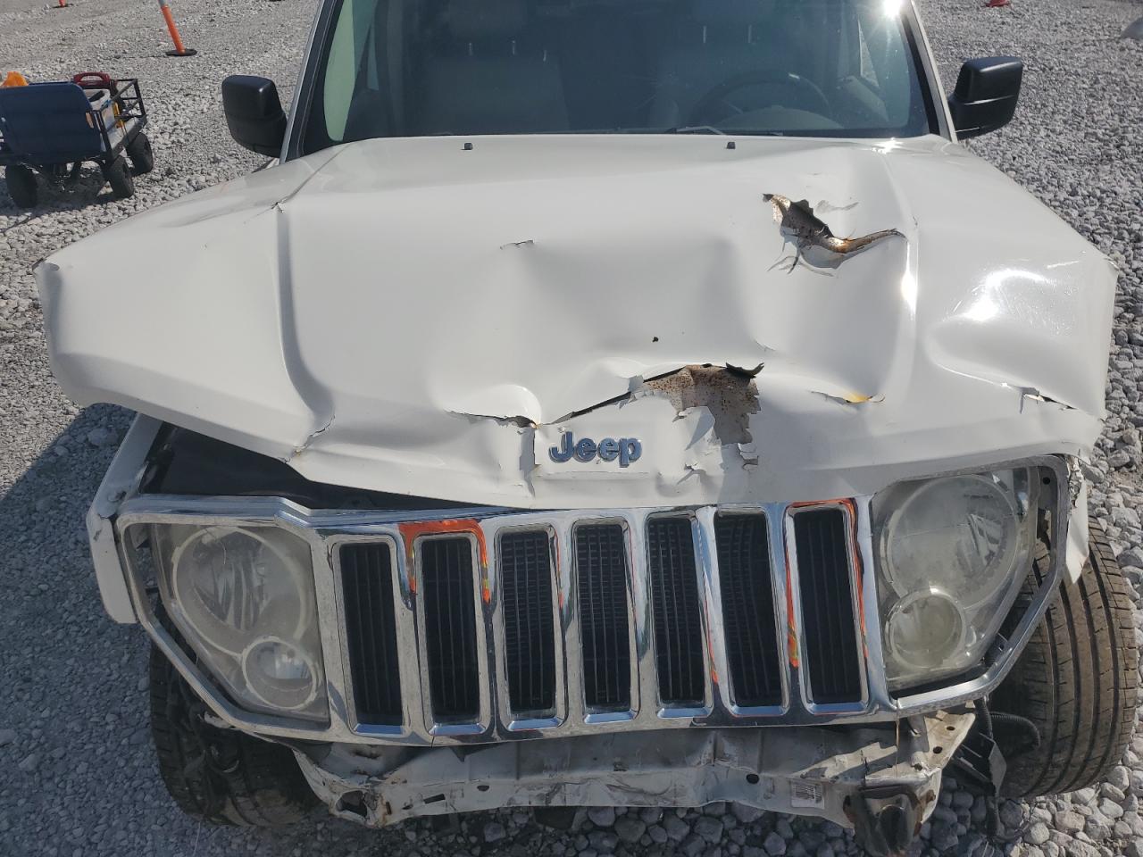 2010 Jeep Liberty Limited VIN: 1J4PN5GK9AW113944 Lot: 63096595