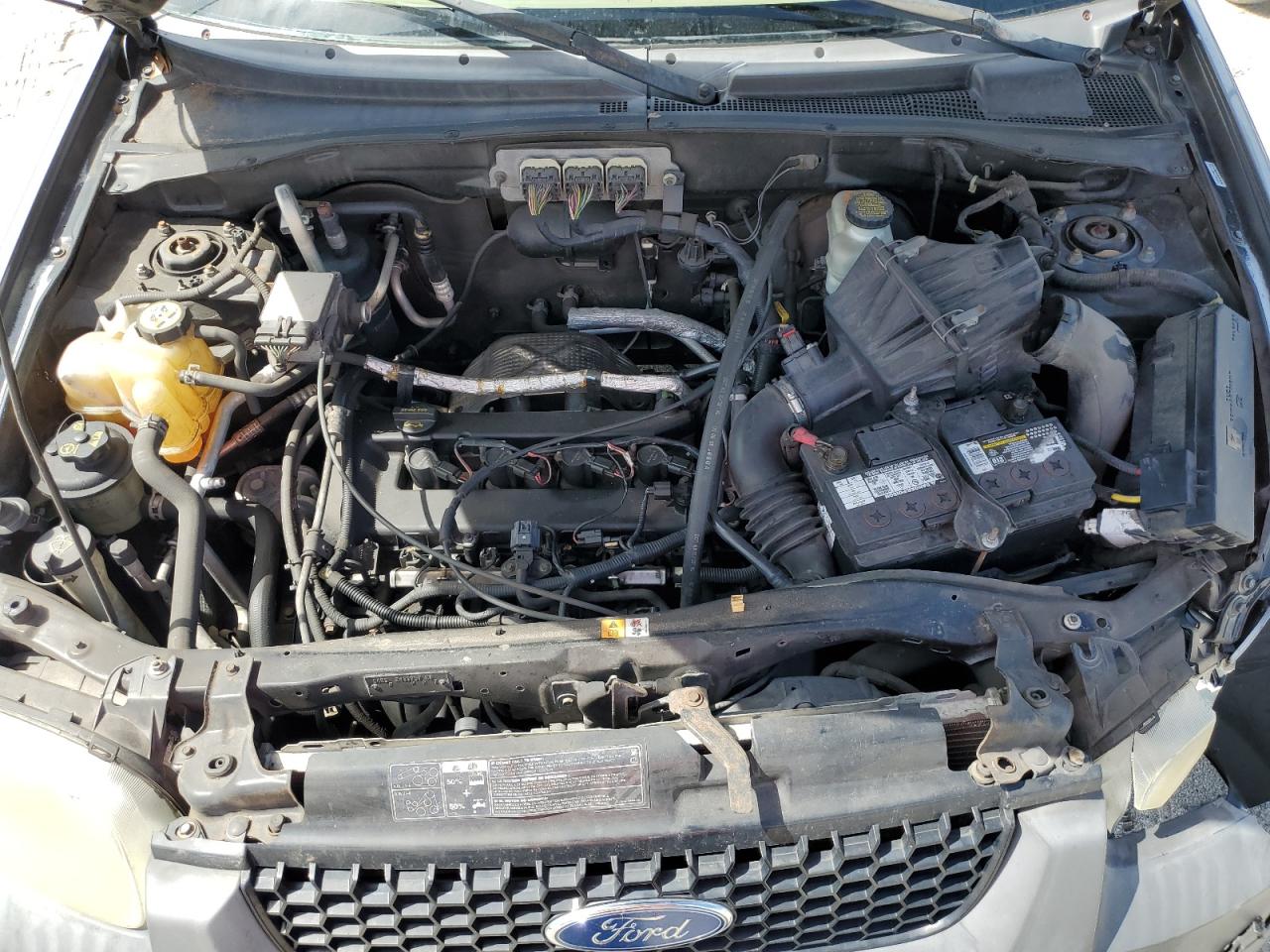 2007 Ford Escape Xlt VIN: 1FMCU03Z07KB36991 Lot: 62746225