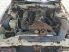 1982 Datsun 200Sx  na sprzedaż w Newton, AL - Normal Wear