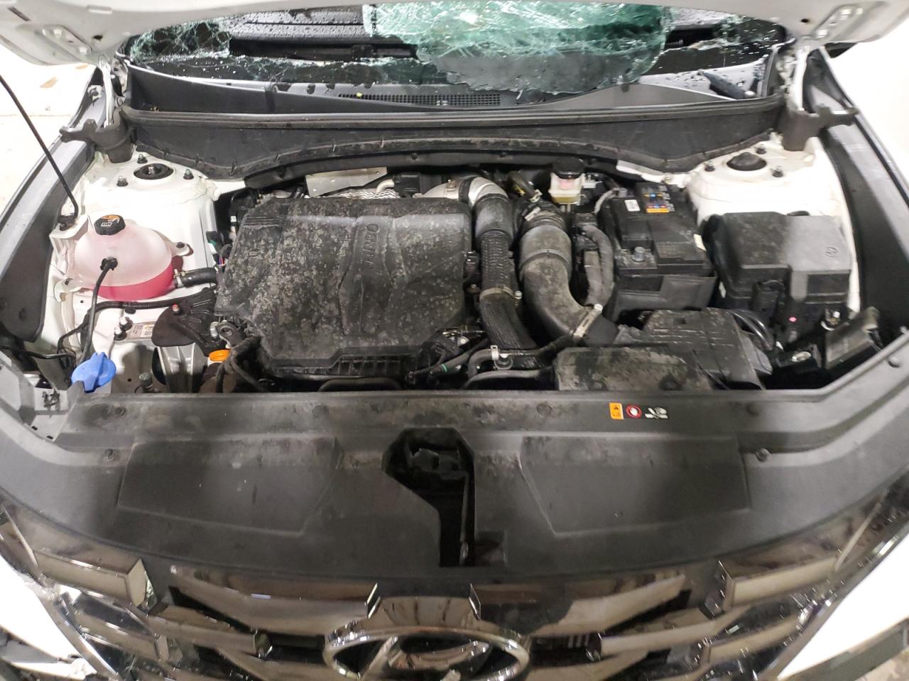 2024 Hyundai Santa Cruz Limited VIN: 5NTJEDDFXRH104797 Lot: 61363685