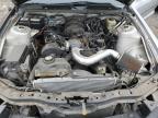 2005 Ford Mustang  for Sale in Baltimore, MD - Biohazard/Chemical