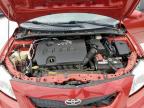 2010 Toyota Corolla Base   for Sale in Haslet, TX - Front End