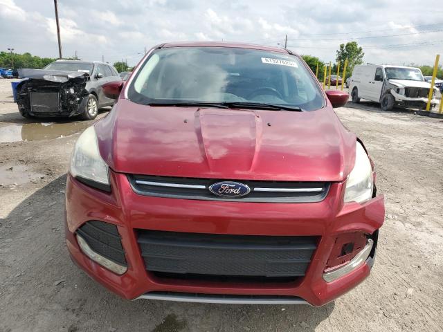  FORD ESCAPE 2014 Czerwony