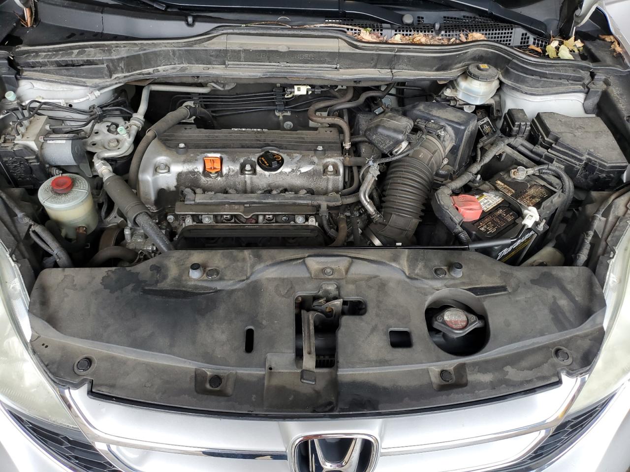 2010 Honda Cr-V Exl VIN: 5J6RE4H78AL064511 Lot: 62556655