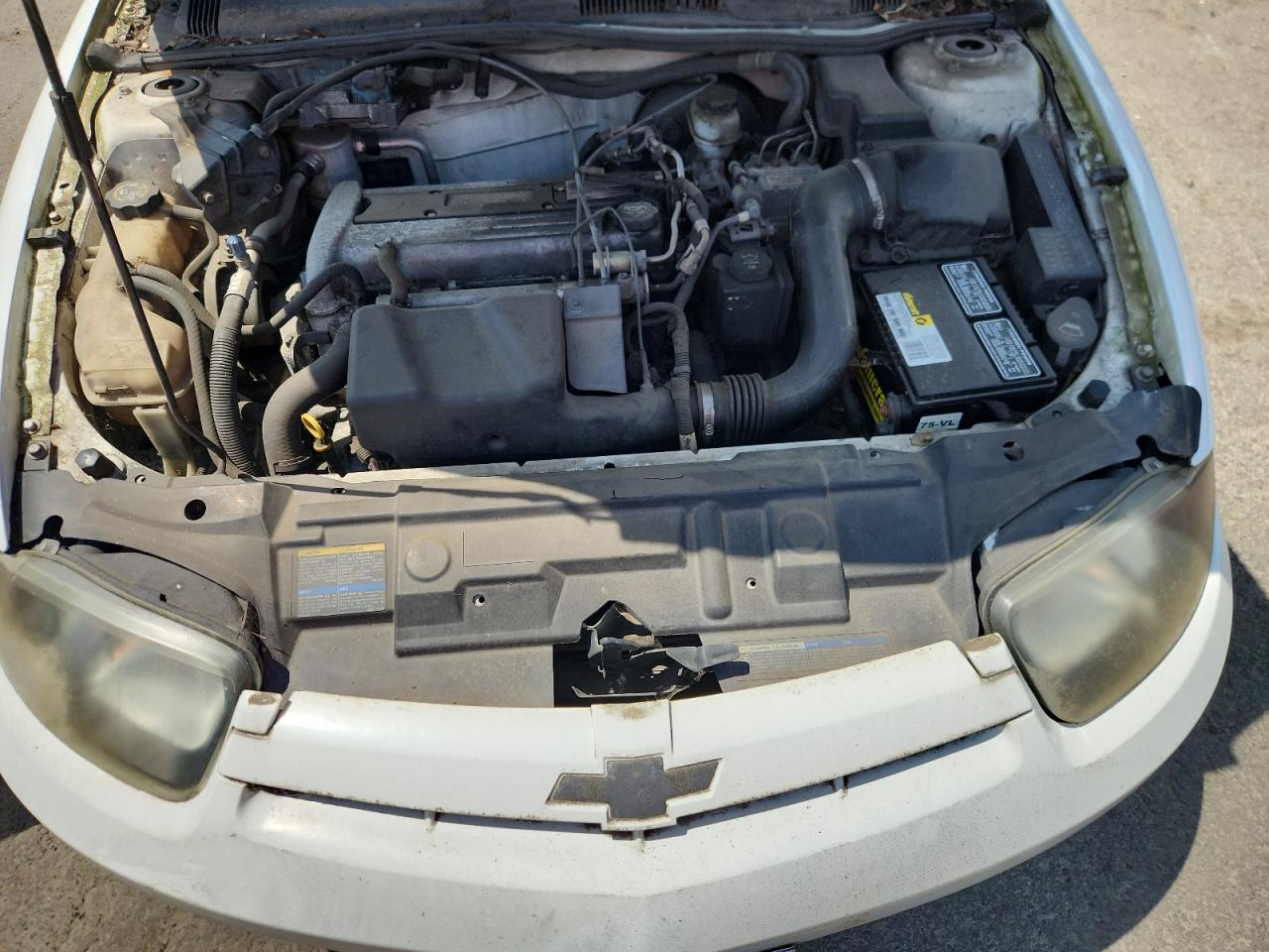 2004 Chevrolet Cavalier Ls VIN: 1G1JF52F647362230 Lot: 62331675