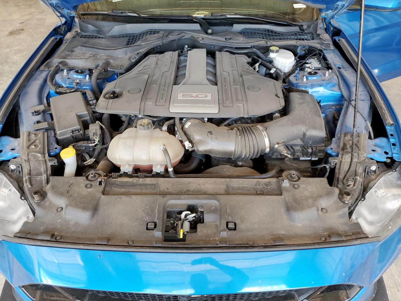 FORD MUSTANG 2019 VIN 1FA6P8CF8K5134206 photo 11