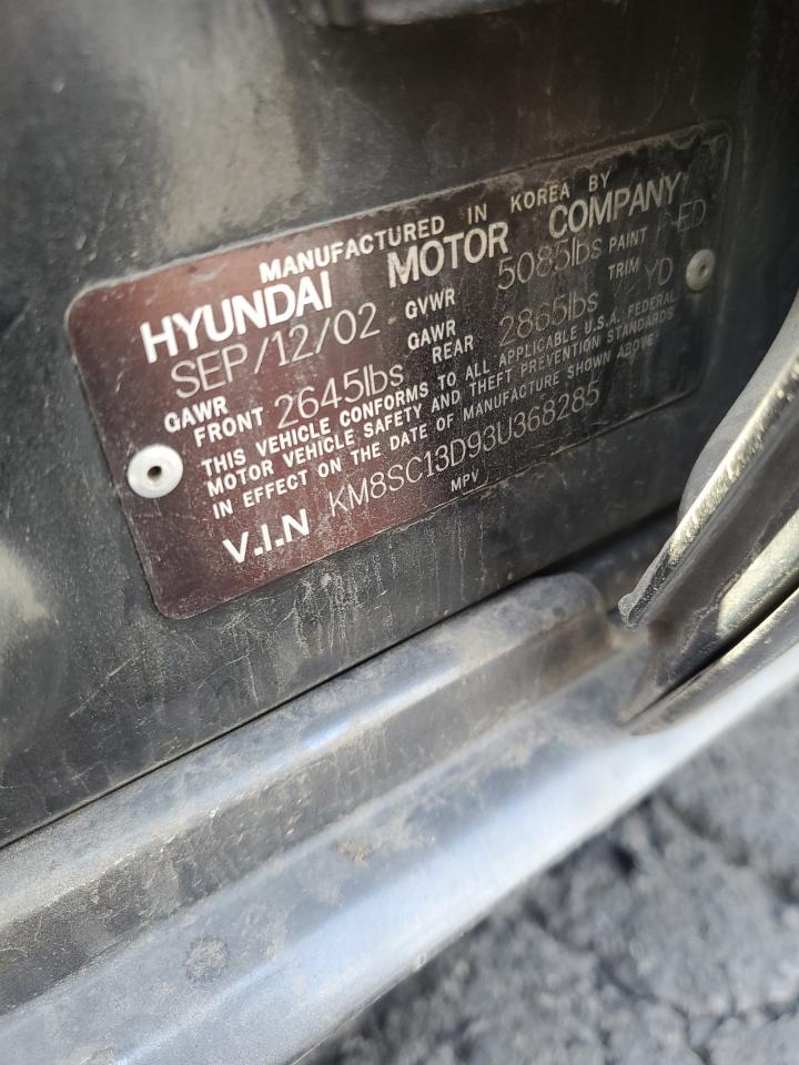 2003 Hyundai Santa Fe Gls VIN: KM8SC13D93U368285 Lot: 62008835