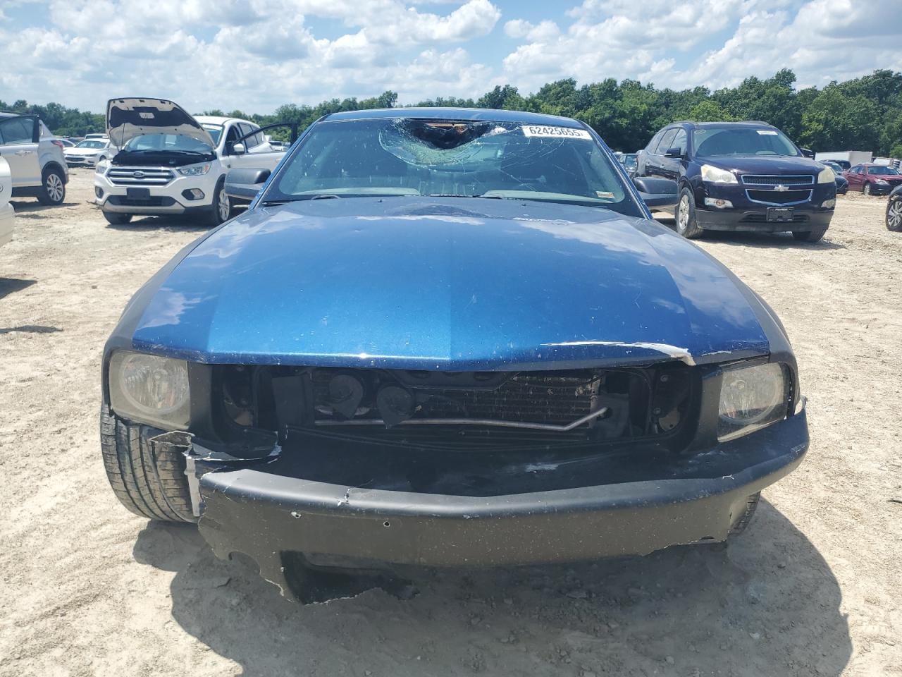 2006 Ford Mustang Gt VIN: 1ZVFT82H065200081 Lot: 62425655