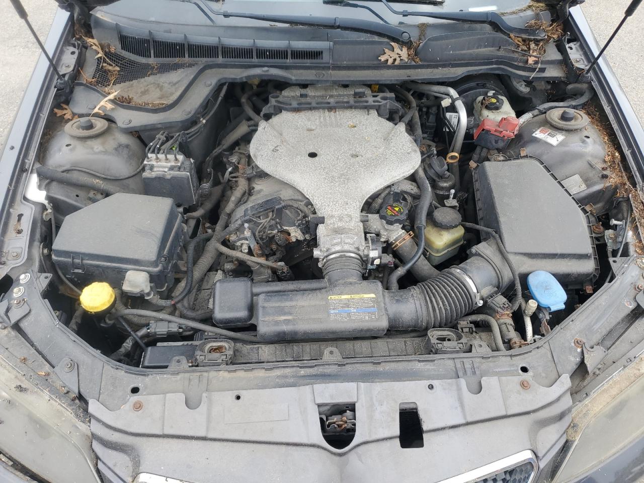 2009 Pontiac G8 VIN: 6G2ER57759L234438 Lot: 62669575