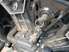 2024 Indian Motorcycle Co. Scout Rogue Abs de vânzare în Newton, AL - Side