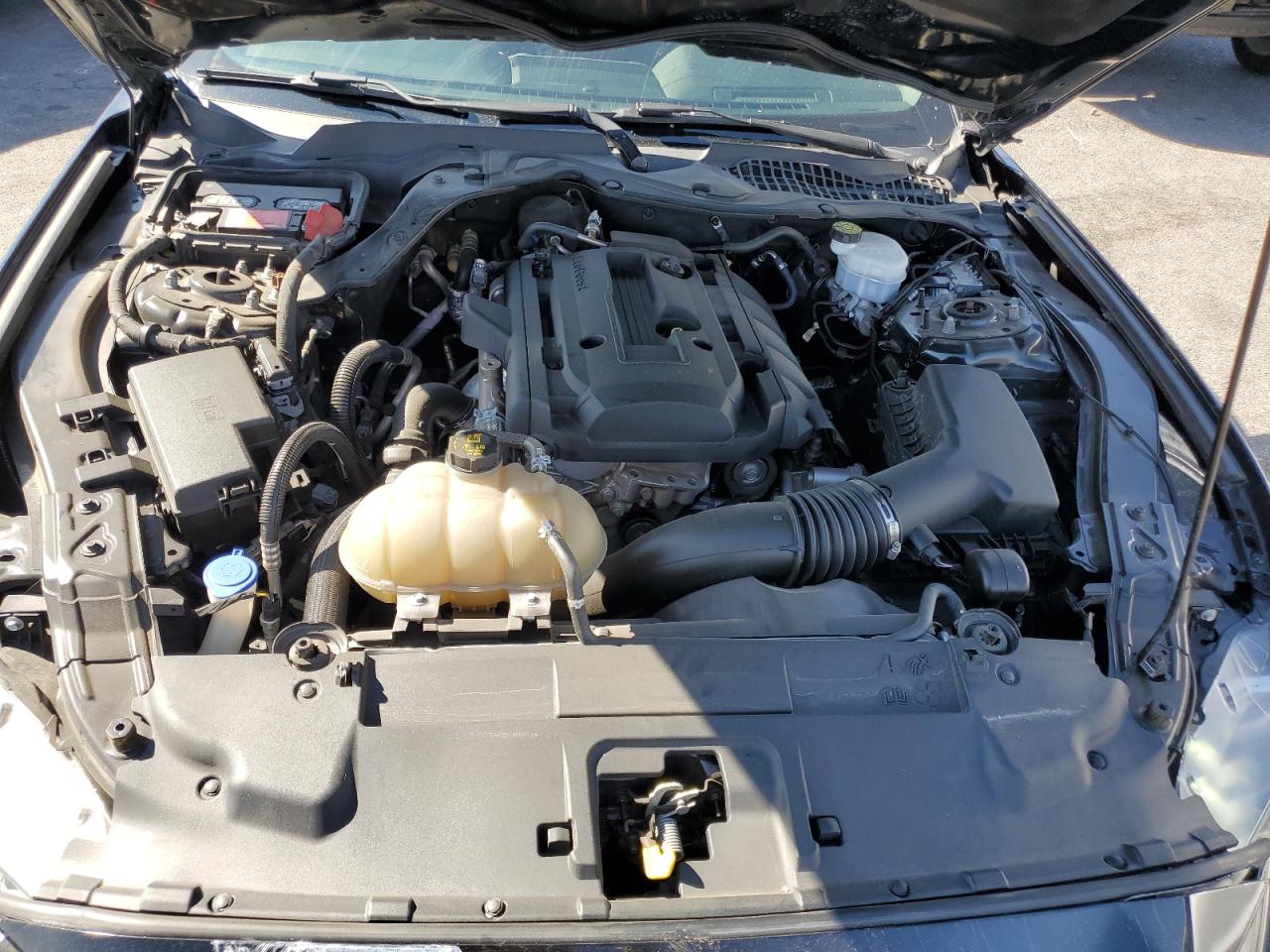 1FA6P8TH6L5171645 FORD ALL Models 2020