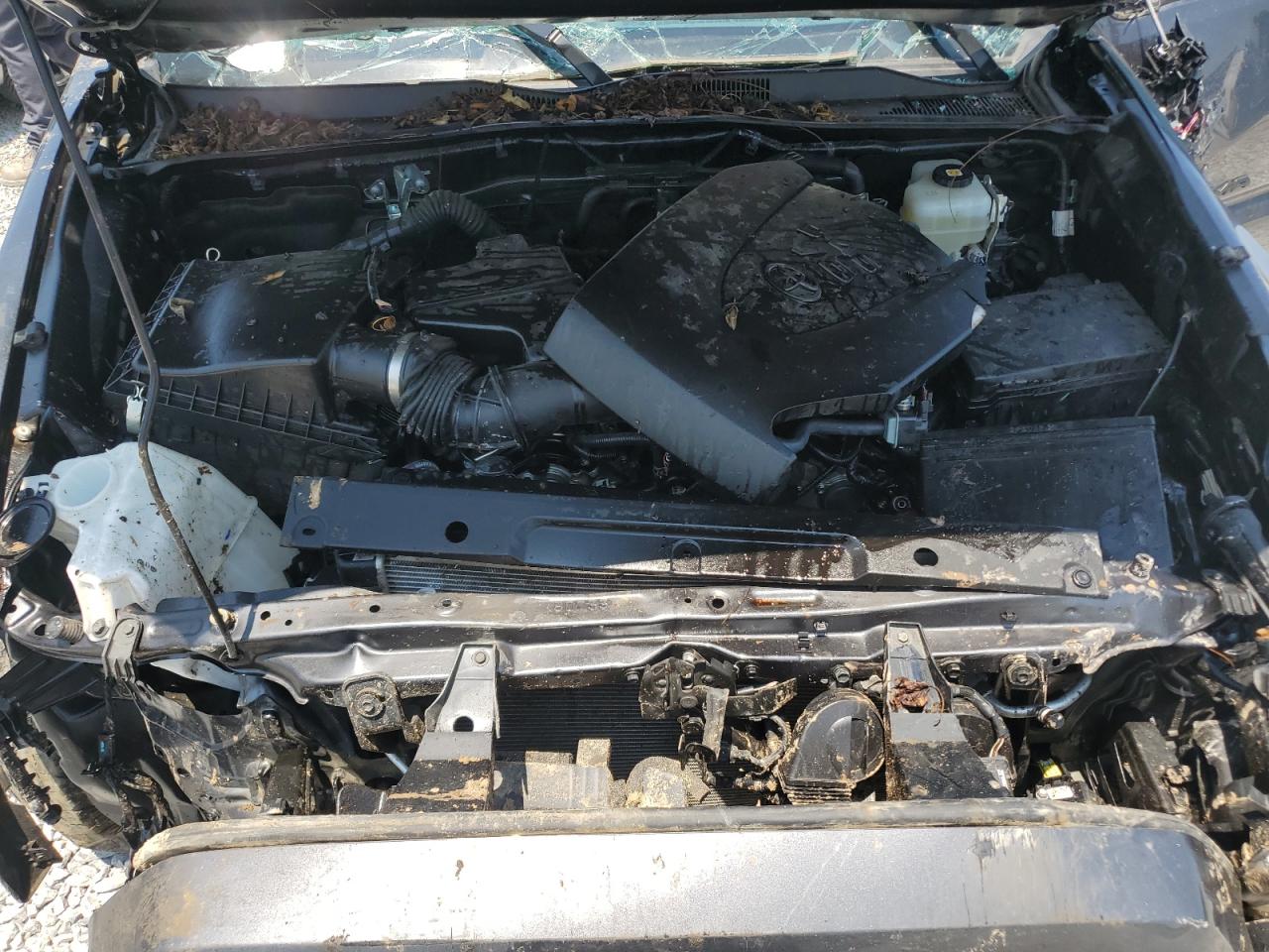 2022 Toyota Tacoma Double Cab VIN: 3TMCZ5AN1NM521839 Lot: 60439965