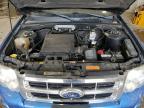 2011 Ford Escape Xlt zu verkaufen in Franklin, WI - Hail