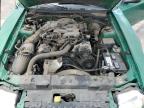 1999 Ford Mustang  for Sale in Littleton, CO - Rear End