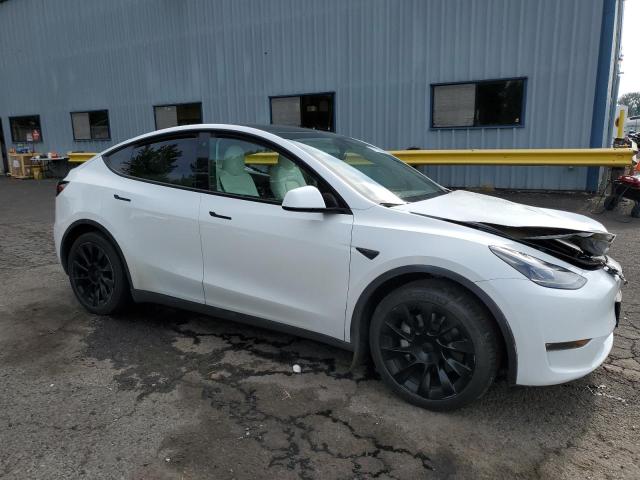  TESLA MODEL Y 2023 Biały