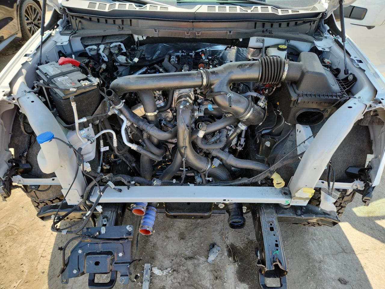 2024 Ford F150 Tremor VIN: 1FTFW4L89RFB91123 Lot: 60924315