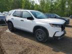2023 HONDA PILOT TRAILSPORT   for sale at Copart ON - COOKSTOWN