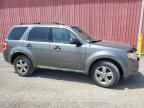 2011 FORD ESCAPE XLT   for sale at Copart ON - LONDON