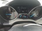 2019 Ford Escape Titanium   for Sale in Lawrenceburg, KY - Rear End