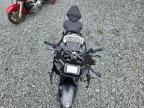 2025 SUZUKI GSX800 F   for sale at Copart NC - CONCORD