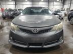 2013 Toyota Camry L   за продажба в Ham Lake, MN - Front End