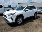 2022 TOYOTA RAV4 XLE   à vendre chez Copart AB - CALGARY