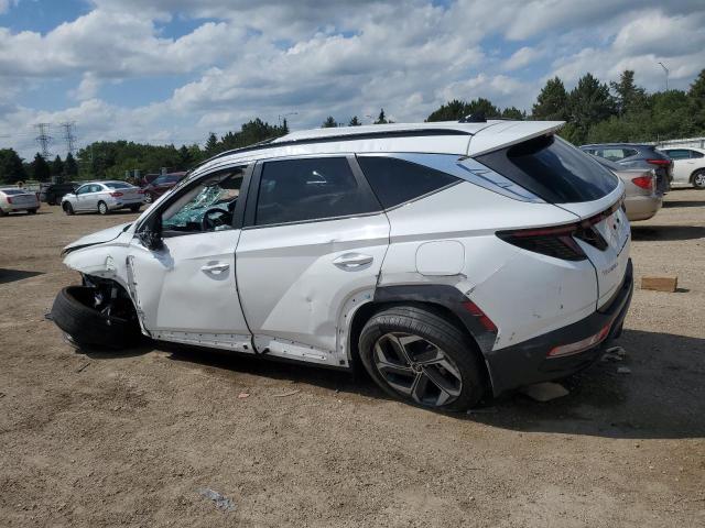 HYUNDAI TUCSON 2023 Белы