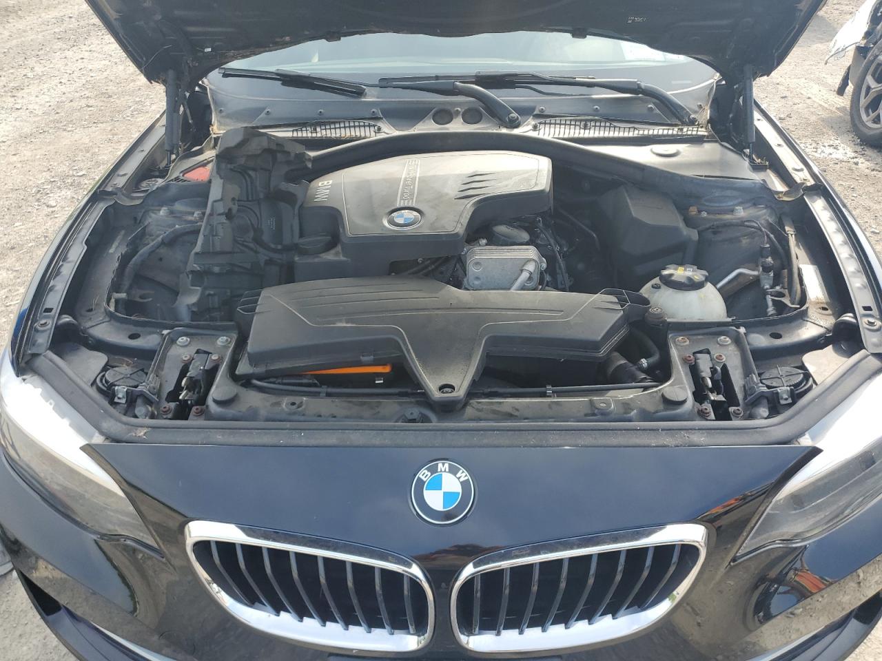 2016 BMW 228 Xi Sulev VIN: WBA1G9C52GV598419 Lot: 62464515