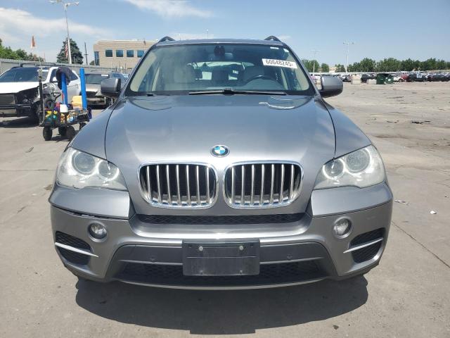  BMW X5 2013 Серый