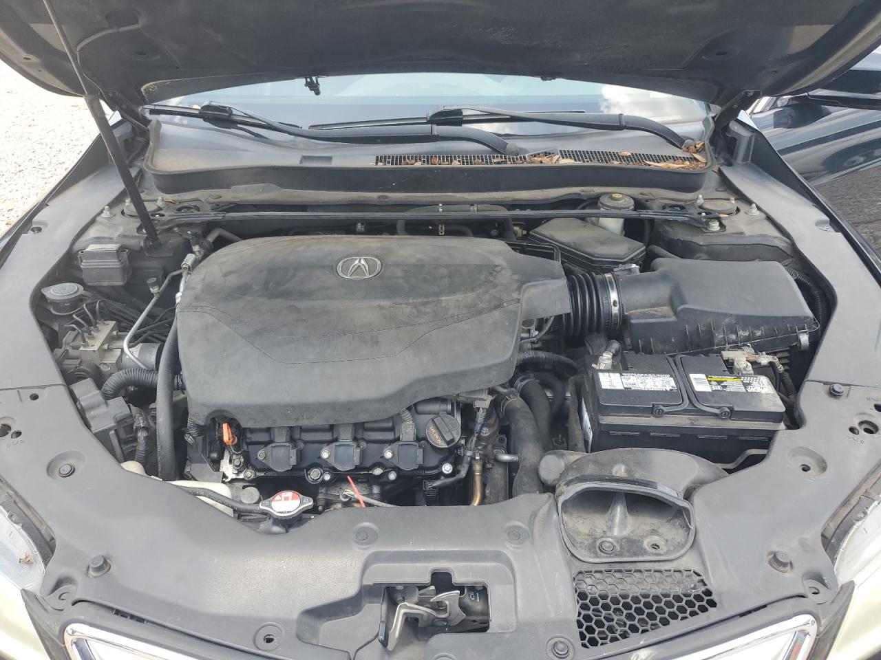 2015 Acura Tlx VIN: 19UUB2F34FA017106 Lot: 62543865