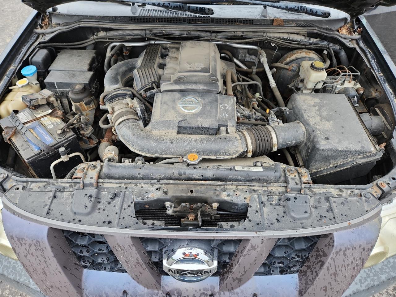 2007 Nissan Xterra Off Road VIN: 5N1AN08W77C545616 Lot: 62656945