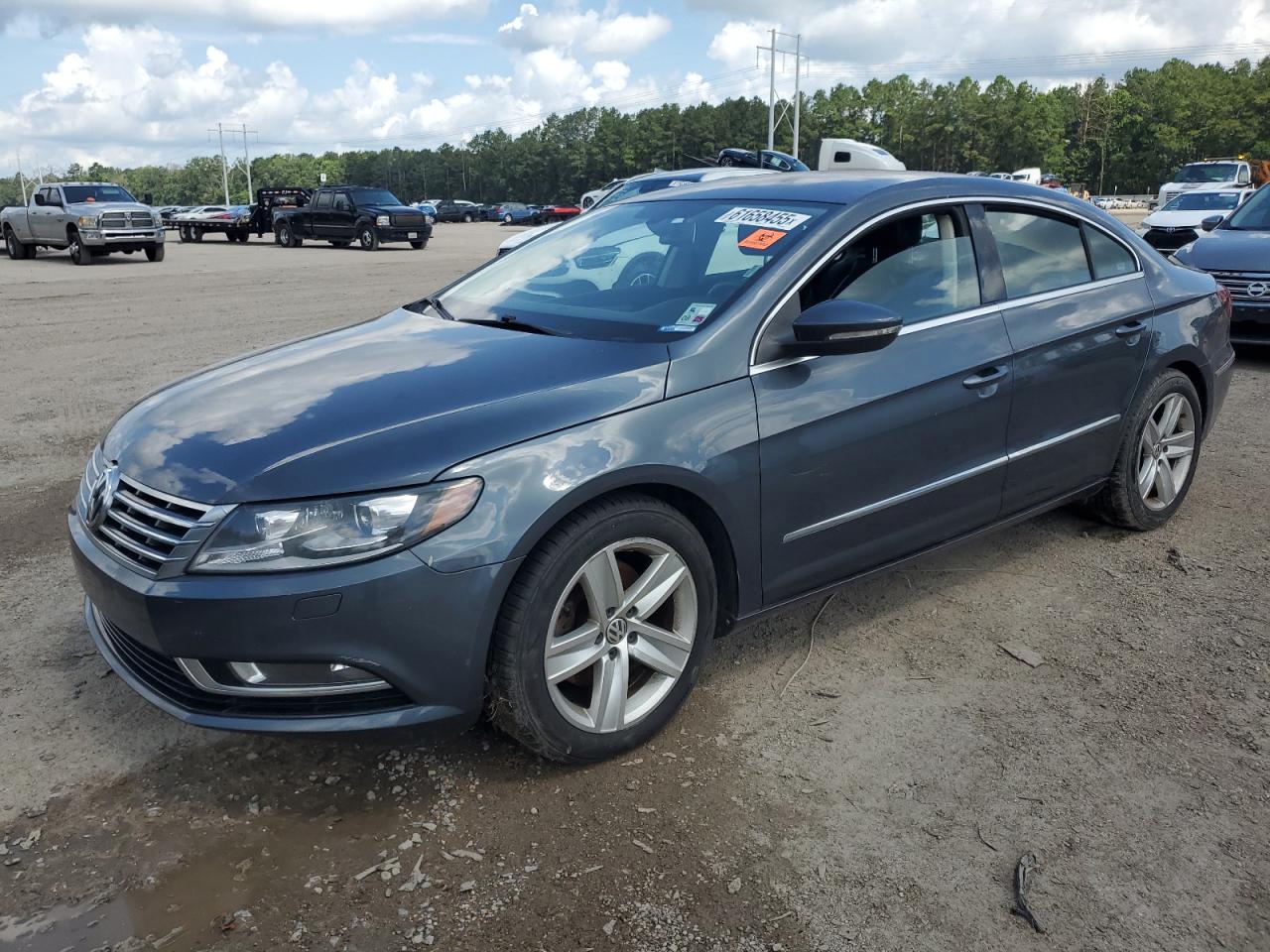 2014 Volkswagen Cc Sport for Sale in Greenwell Springs, LA - Side
