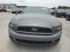 2014 Ford Mustang    for Sale in Prairie Grove, AR - Hail