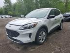 2021 FORD ESCAPE S   for sale at Copart ON - COOKSTOWN