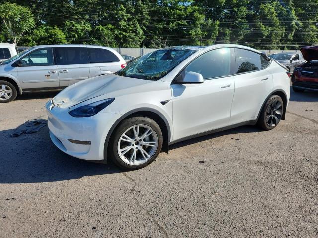 TESLA MODEL Y – zdjęcie z aukcji, lot #62056505