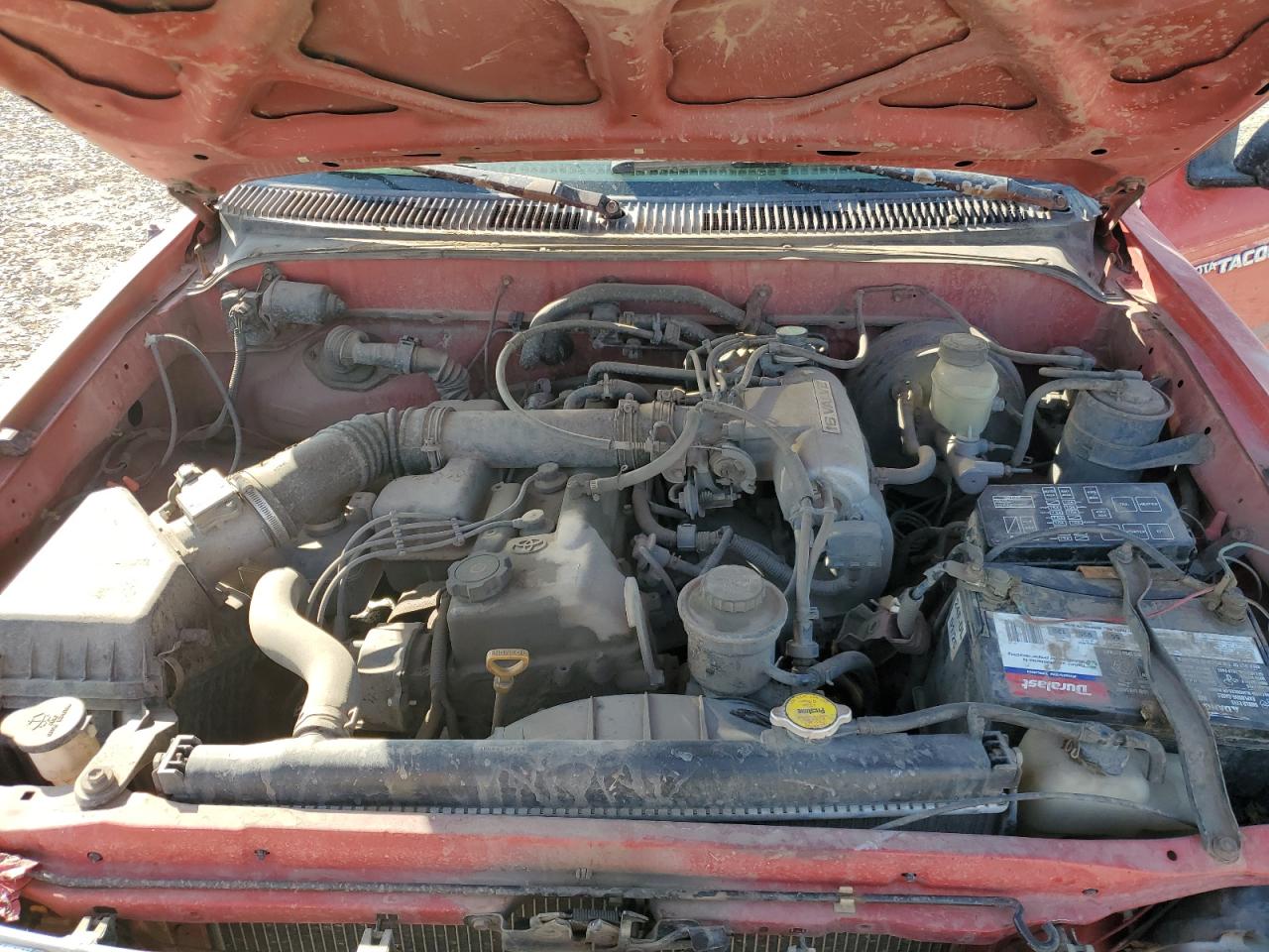 1995 Toyota Tacoma VIN: 4TAUN61C0SZ025313 Lot: 62290665
