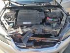 2013 Honda Accord Exl   продається в Windsor, NJ - Front End