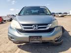 2010 Honda Cr-V Exl for Sale in Amarillo, TX - Front End