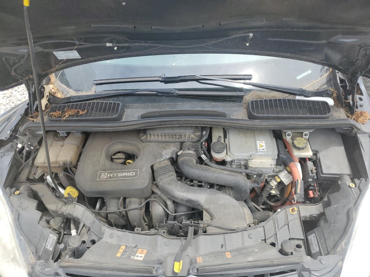 2013 Ford C-Max Se VIN: 1FADP5AU7DL544260 Lot: 62615855