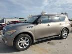 2014 Infiniti Qx80  იყიდება New Orleans-ში, LA - Minor Dent/Scratches