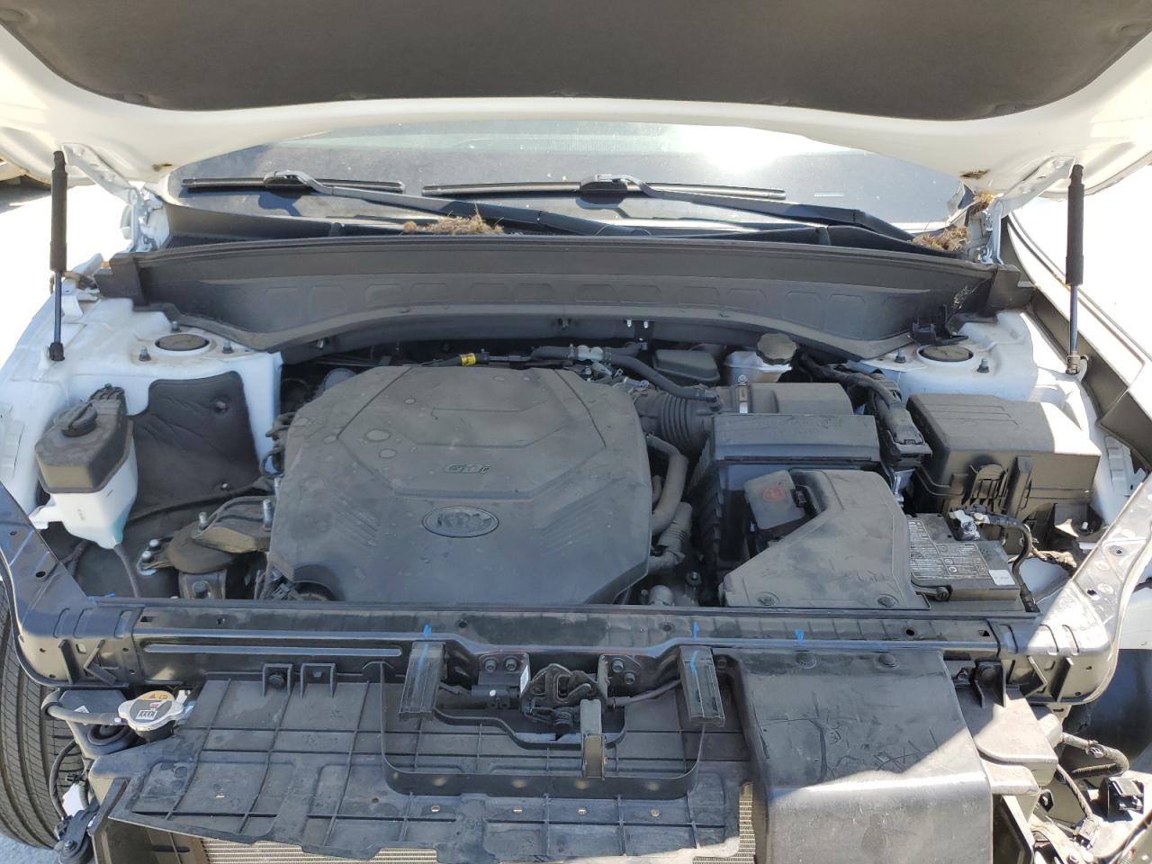 2020 Kia Telluride Ex VIN: 5XYP3DHC6LG085291 Lot: 60754565