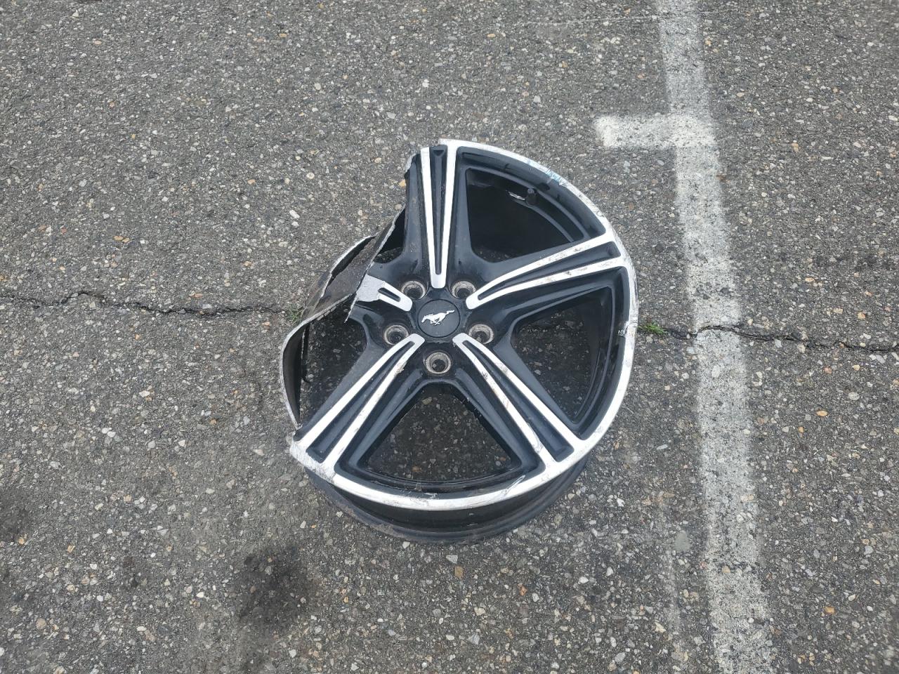 1FA6P8TH2R5131006 FORD ALL Models 2024