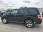 2010 Ford Escape Xlt   de vânzare în Leroy, NY - Normal Wear