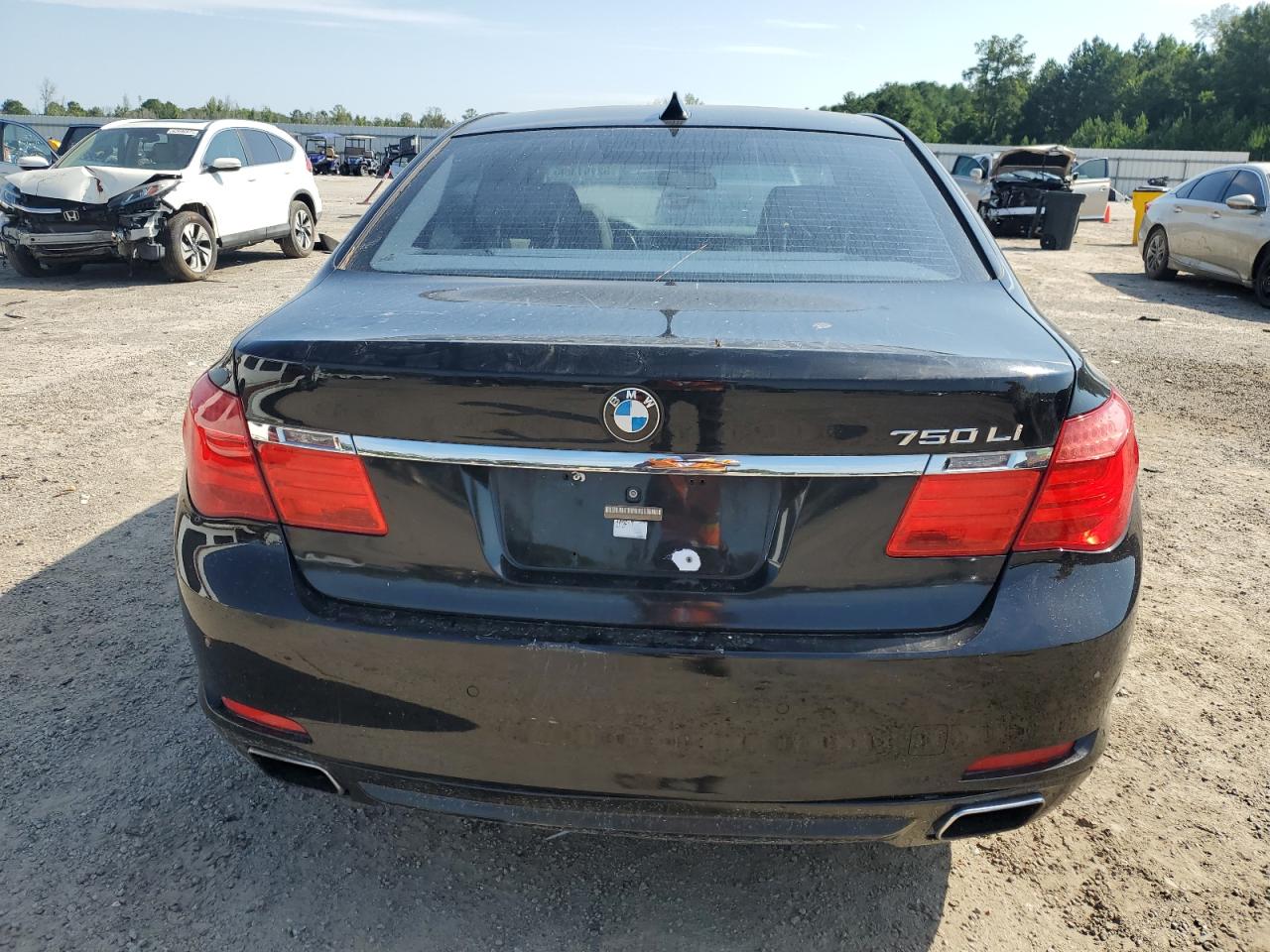 2010 BMW 750 Li VIN: WBAKB8C5XACY63054 Lot: 62151355