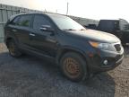 2012 Kia Sorento Base en Venta en Ottawa, ON - Mechanical