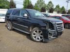 2017 Cadillac Escalade Luxury на продаже в New Britain, CT - Front End