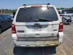 2011 Ford Escape Limited   de vânzare în Hillsborough, NJ - Minor Dent/Scratches