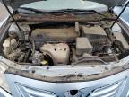 2009 Toyota Camry Base   продається в Gaston, SC - Minor Dent/Scratches