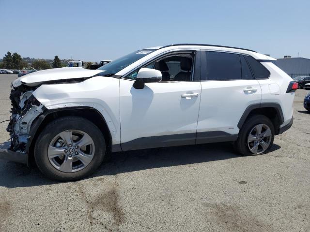 TOYOTA RAV4 XLE 2024