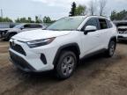 2025 TOYOTA RAV4 XLE   for sale at Copart ON - TORONTO